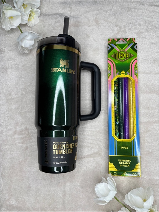 Stanley Other - Wicked Elphaba Stanley Tumblr 30oz With Matching Straw Set